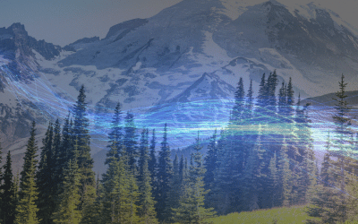 Fiber vs. Copper Internet: Which One is Right for Your Business?