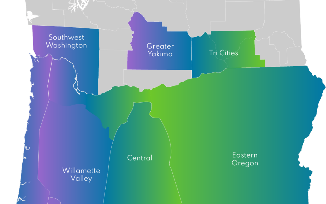 Draw Attention Archive LS Networks